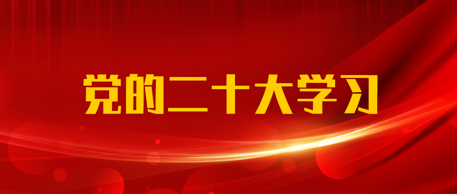 支部建在业务链上｜广西工程咨询集团第一党支部赴德保县餐甲村开展党建引领乡村振兴主题党日活动